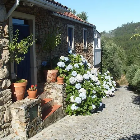 Salgueiro Da Lomba * Figueiro Dos Vinhos