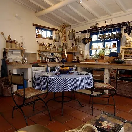 Salgueiro Da Lomba